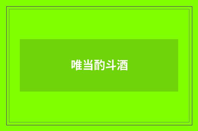 唯当酌斗酒