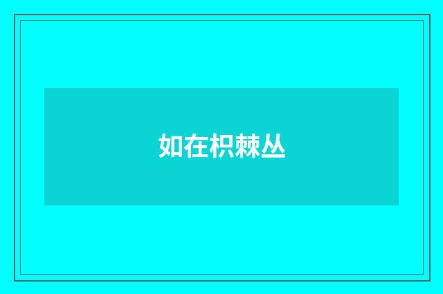如在枳棘丛