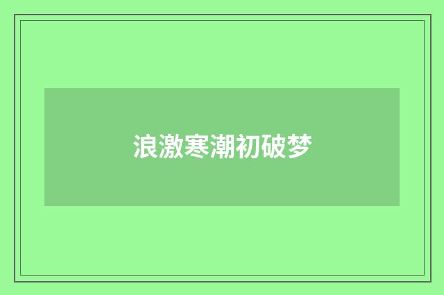 浪激寒潮初破梦