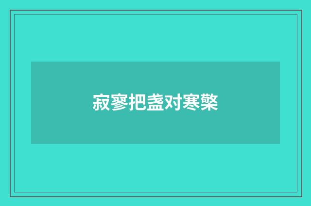 寂寥把盏对寒檠