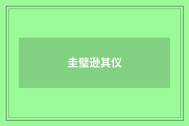 圭璧逊其仪