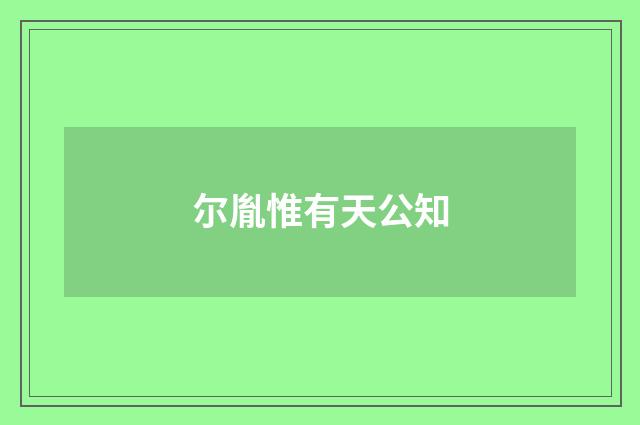 尔胤惟有天公知