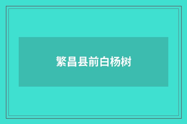繁昌县前白杨树