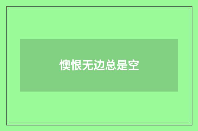 懊恨无边总是空
