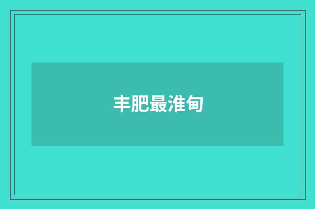 丰肥最淮甸