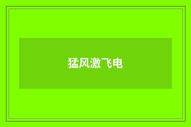 猛风激飞电
