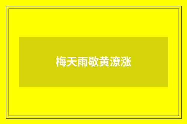 梅天雨歇黄潦涨