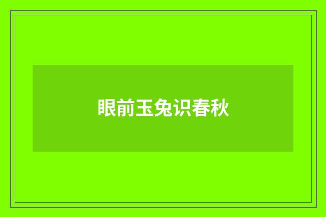 眼前玉兔识春秋