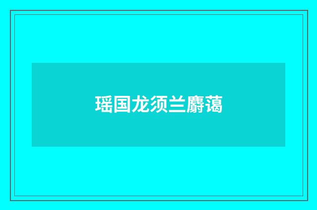 瑶国龙须兰麝蔼