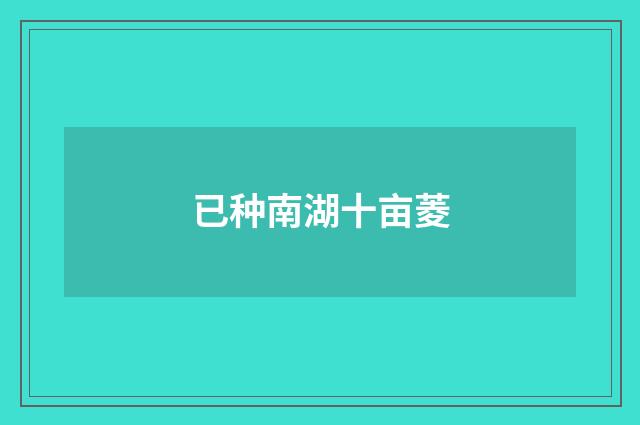 已种南湖十亩菱