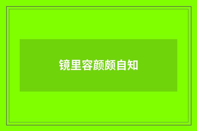 镜里容颜颇自知