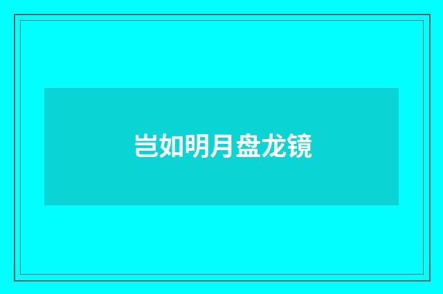 岂如明月盘龙镜