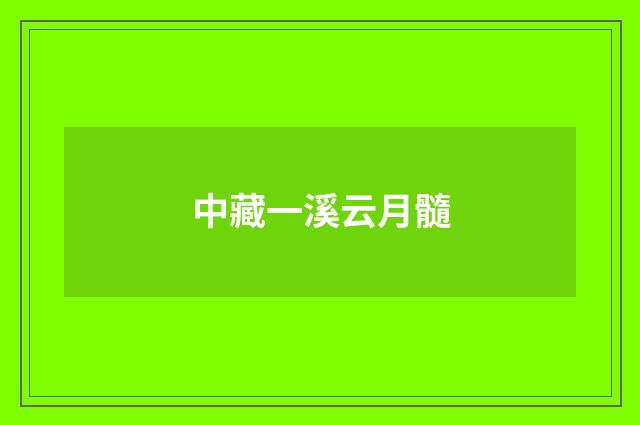 中藏一溪云月髓