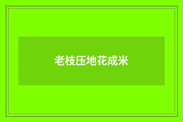 老枝压地花成米