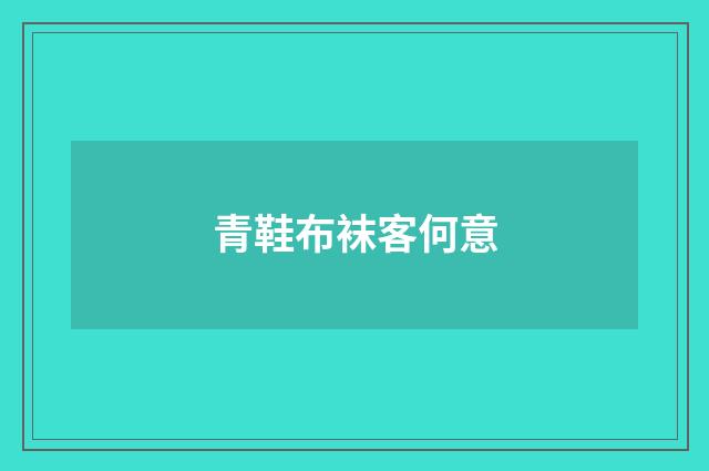 青鞋布袜客何意