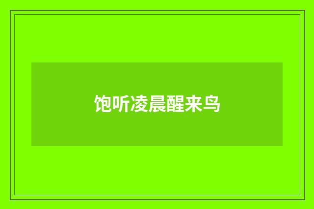 饱听凌晨醒来鸟