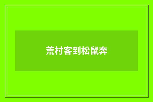 荒村客到松鼠奔