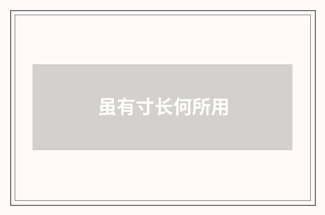 虽有寸长何所用