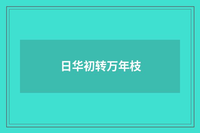 日华初转万年枝