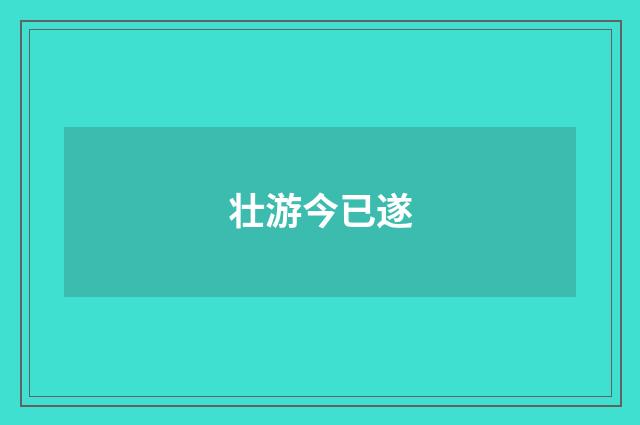 壮游今已遂