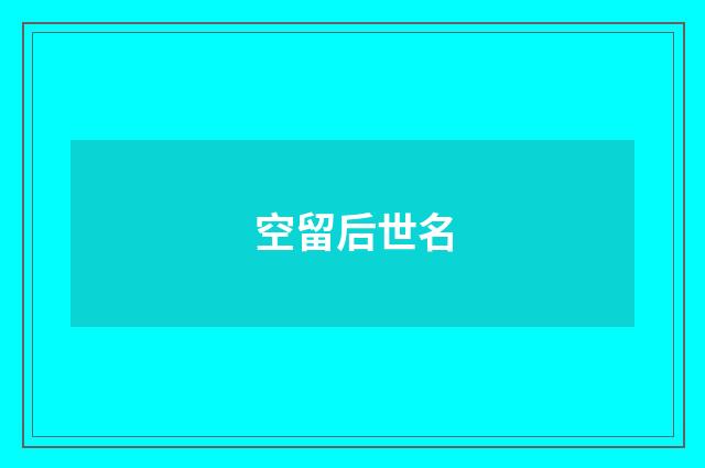 空留后世名
