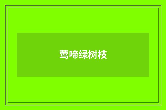 莺啼绿树枝