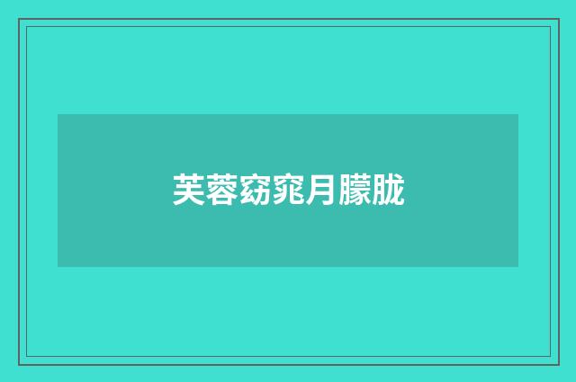 芙蓉窈窕月朦胧
