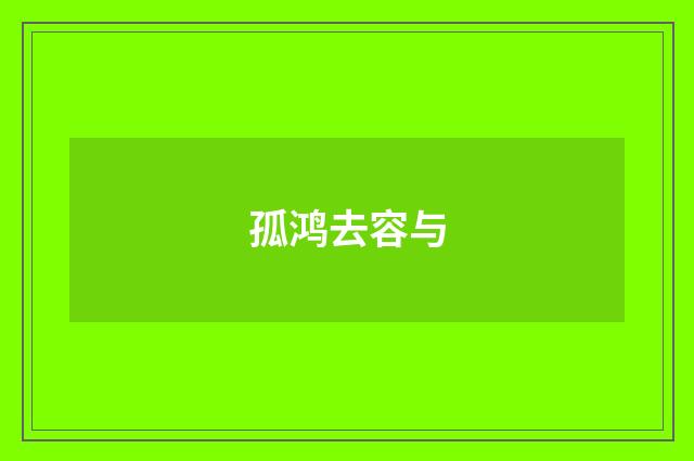 孤鸿去容与