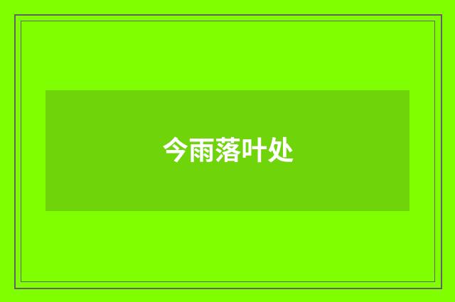 今雨落叶处