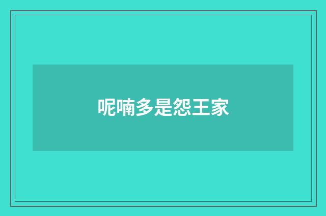 呢喃多是怨王家