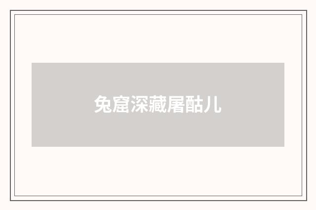 兔窟深藏屠酤儿