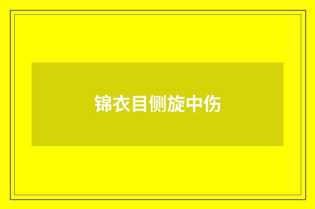 锦衣目侧旋中伤