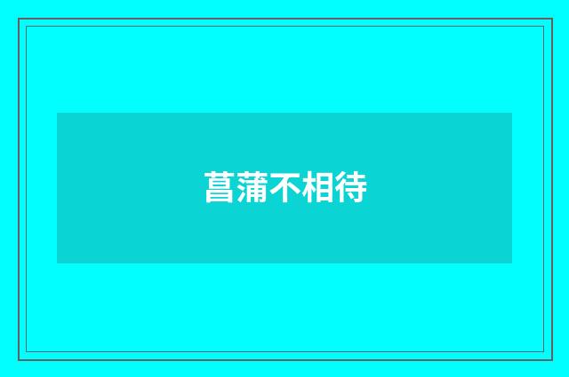 菖蒲不相待