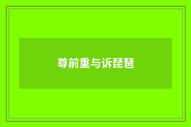 尊前重与诉琵琶