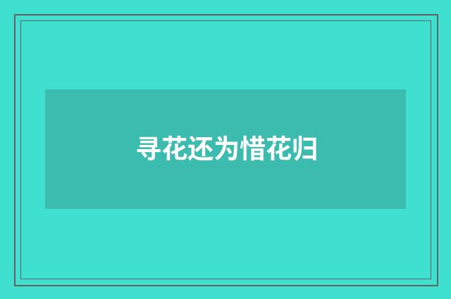 寻花还为惜花归