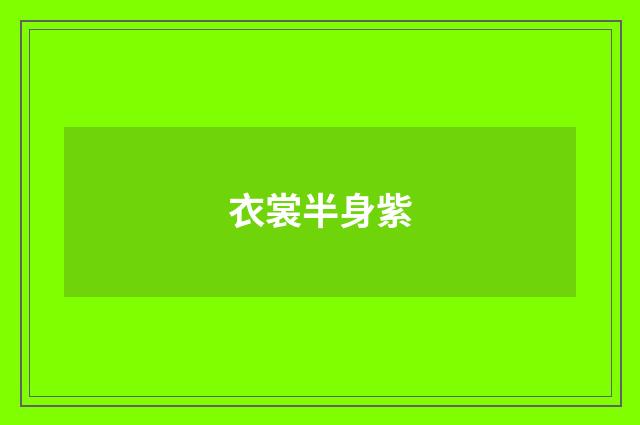 衣裳半身紫