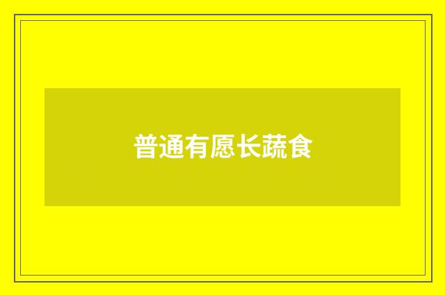 普通有愿长蔬食