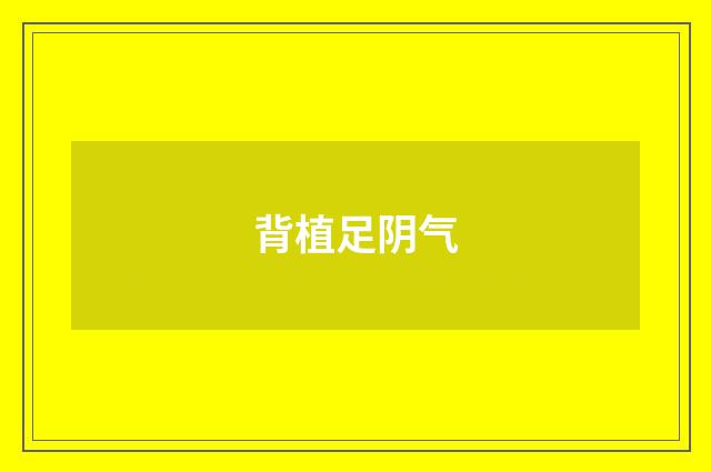 背植足阴气