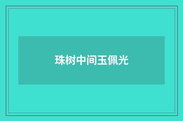 珠树中间玉佩光