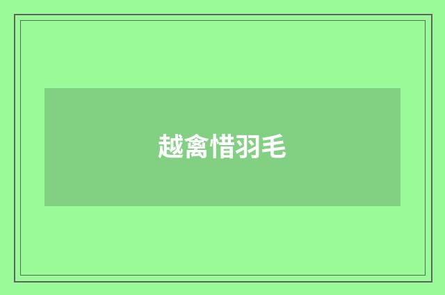 越禽惜羽毛