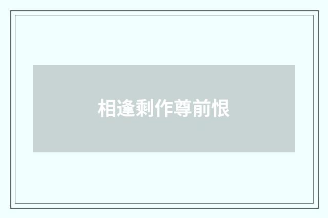 相逢剩作尊前恨