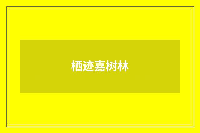 栖迹嘉树林