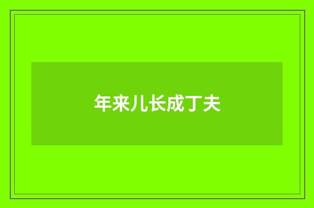 年来儿长成丁夫
