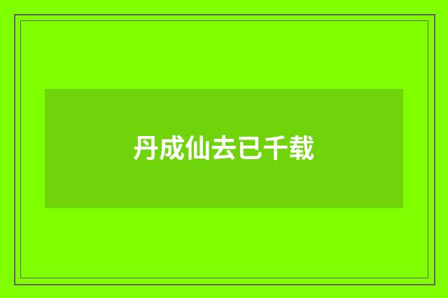 丹成仙去已千载