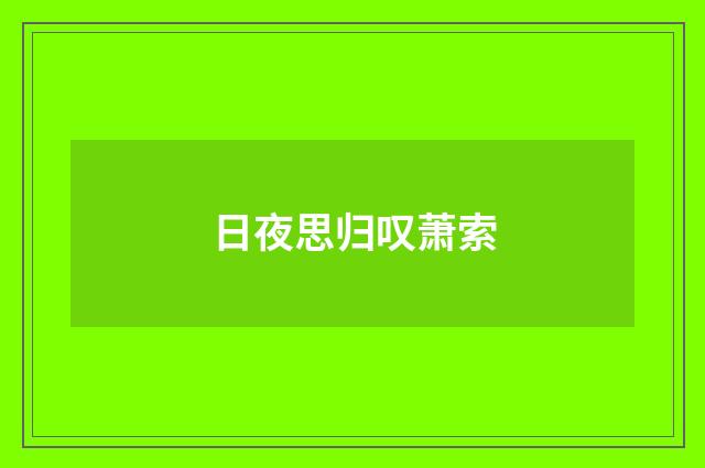 日夜思归叹萧索