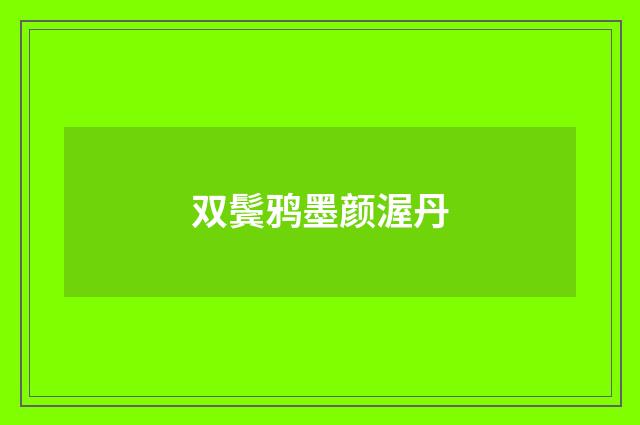 双鬓鸦墨颜渥丹
