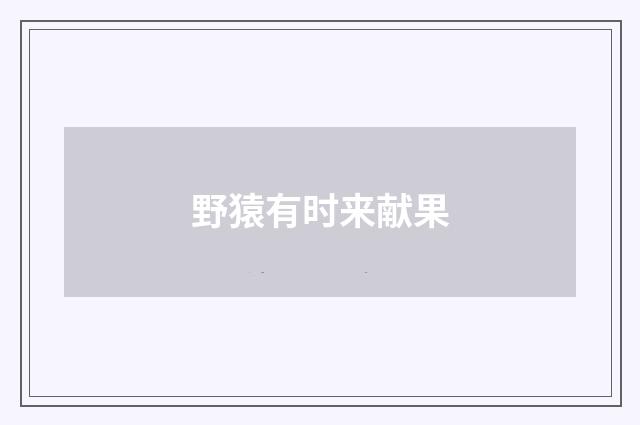 野猿有时来献果