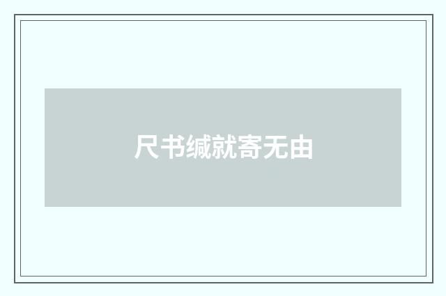 尺书缄就寄无由