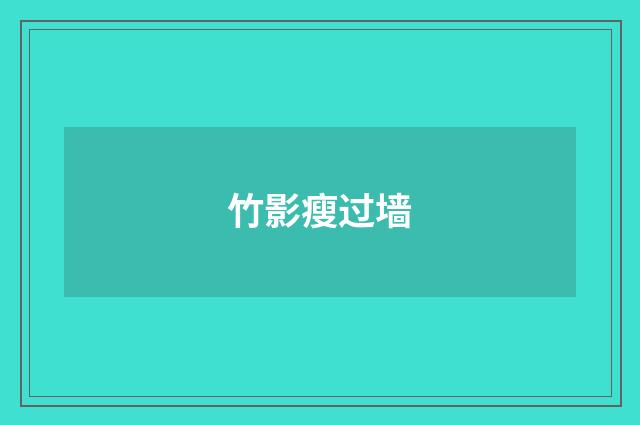 竹影瘦过墙