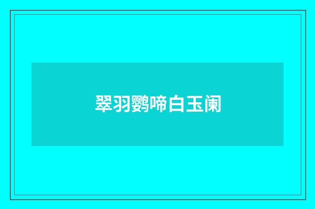 翠羽鹦啼白玉阑